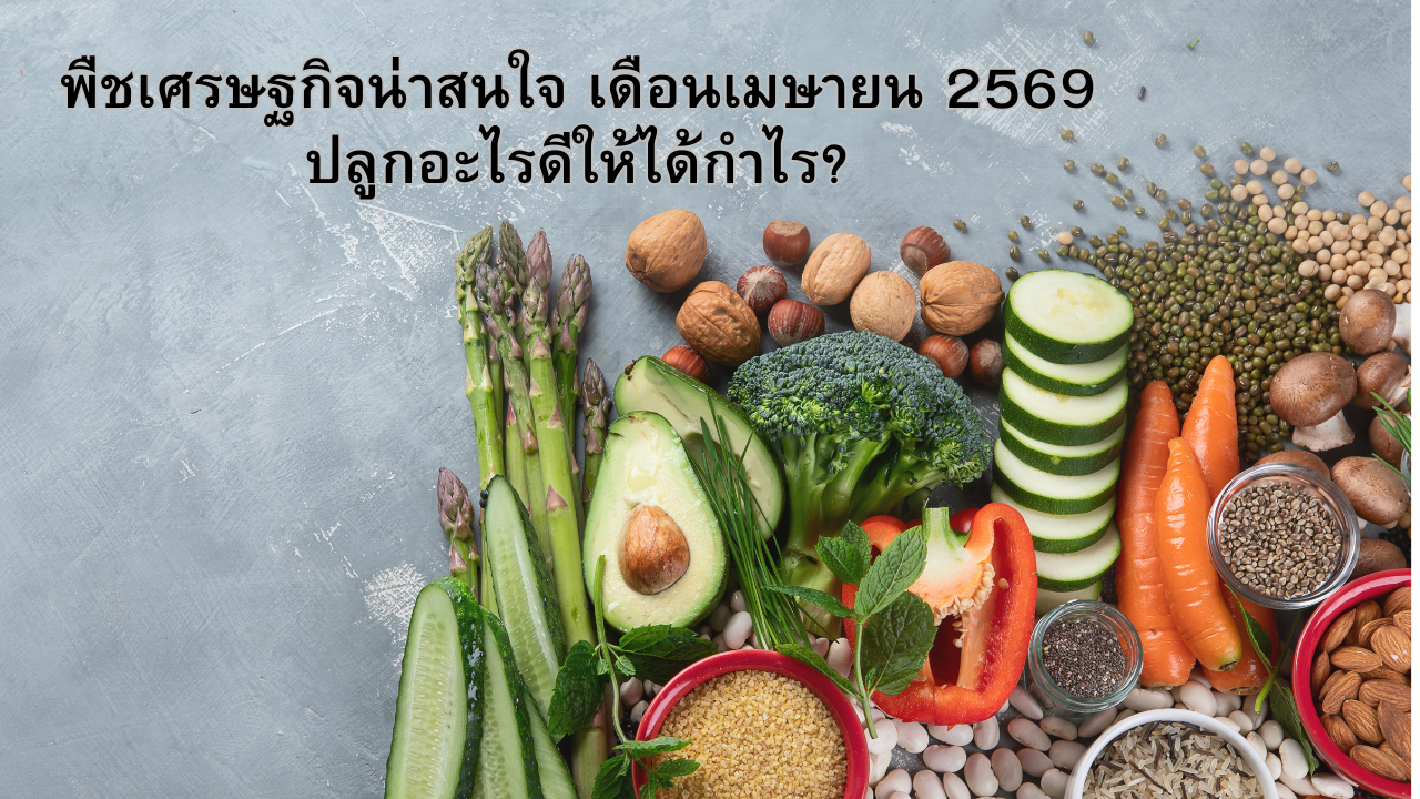 พืชเศรษฐกิจน่าสนใจ เดือนเมษายน 2569 ปลูกอะไรดีให้ได้กำไร?